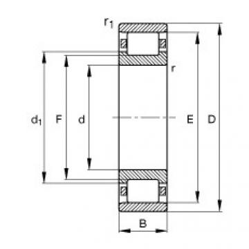 FAG load file bering ntn Cylindrical roller bearings - N236-E-XL-M1