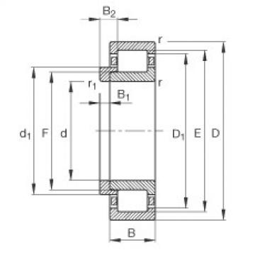 FAG ntn flange bearing dimensions Cylindrical roller bearings - NJ310-E-XL-TVP2 + HJ310-E