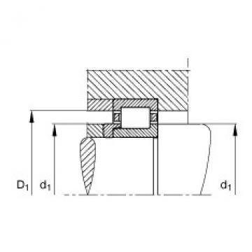 FAG bearing table ntn for solidwork Cylindrical roller bearings - NJ2228-E-XL-M1 + HJ2228-E