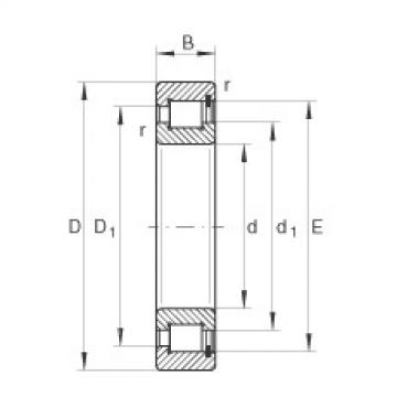 cylindrical bearing nomenclature SL1818/560-E-TB INA