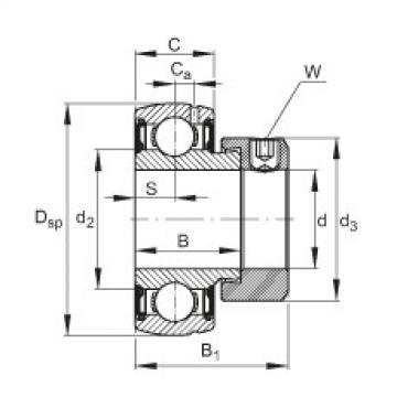 FAG ntn 6003z bearing dimension Radial insert ball bearings - SUG209