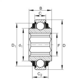 FAG корпус подшипника ina205 Self-aligning deep groove ball bearings - SK108-215-KTT-L402/70