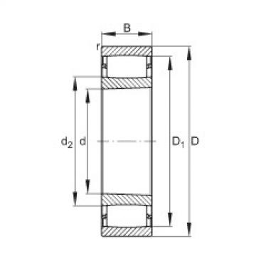 FAG ntn flange bearing dimensions Toroidal roller bearings - C3040-XL-K
