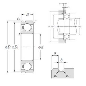 Bearing catalog 6011N NTN