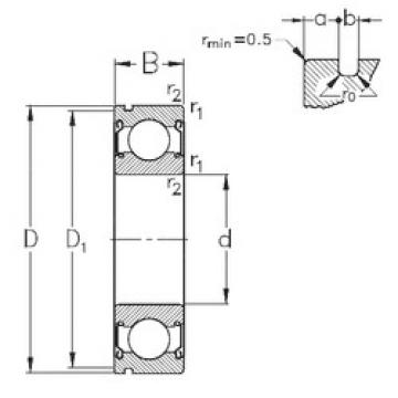 Bearing catalog 6006-2Z-N NKE