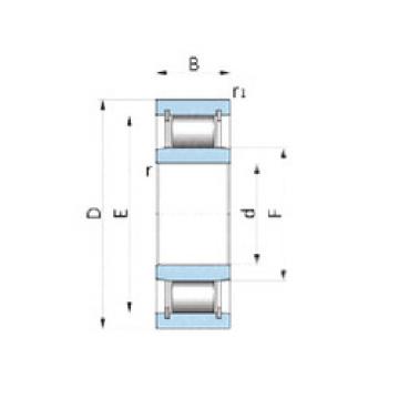 cylindrical bearing nomenclature PL25-7ACG38 NSK