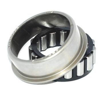 Cylindrical Roller Bearings 722032910 INA