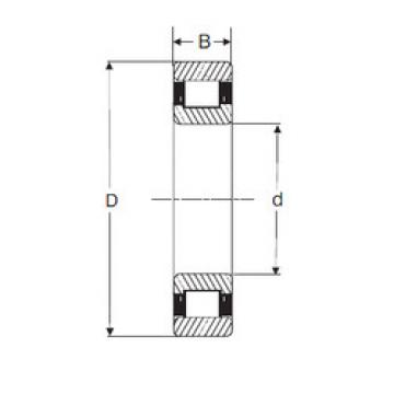 cylindrical bearing nomenclature RXLS 9.1/2 SIGMA