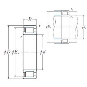 Cylindrical Roller Bearings NCF29/600V NSK