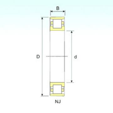 Cylindrical Roller Bearings N 213 ISB