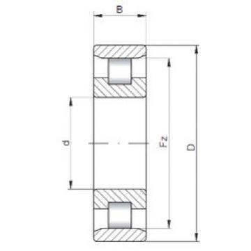 Cylindrical Roller Bearings N334 E CX