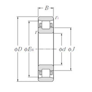 Cylindrical Roller Bearings N1022 NTN