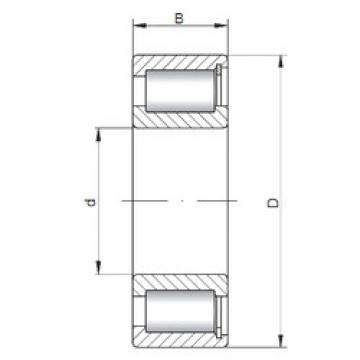 Cylindrical Roller Bearings NCF29/500 V CX