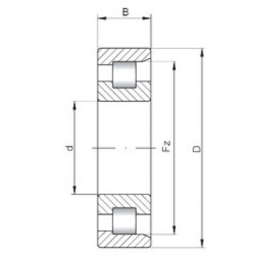 Cylindrical Bearing NF28/1000 CX