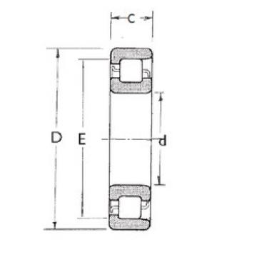 Cylindrical Bearing NF415 FBJ