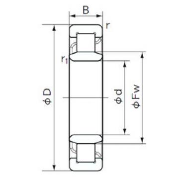 Cylindrical Roller Bearings Distributior NU 1080 NACHI