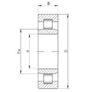 Cylindrical Roller Bearings Distributior NU238 E CX