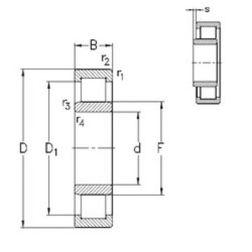 Cylindrical Roller Bearings Distributior NU1013-E-M6 NKE