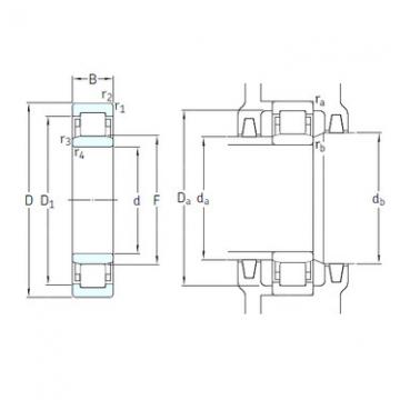 Cylindrical Roller Bearings Distributior NU1014ECP/HC5C3 SKF