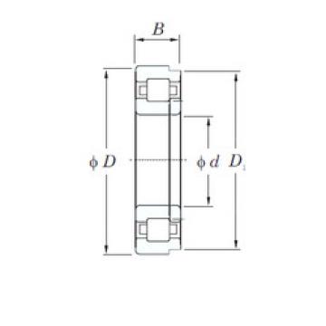 Cylindrical Roller Bearings Distributior NUP1015 KOYO