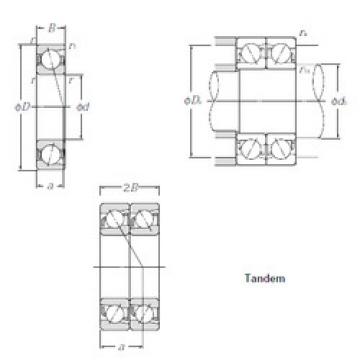 Angular Contact Ball Bearings 7919DT CYSD