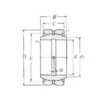 plain bearing lubrication SA1-110B NTN