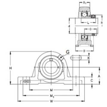 Bearing housed units RASEY40-N NKE