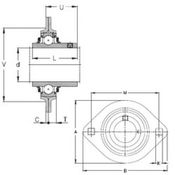 Bearing housed units RRTY40 NKE