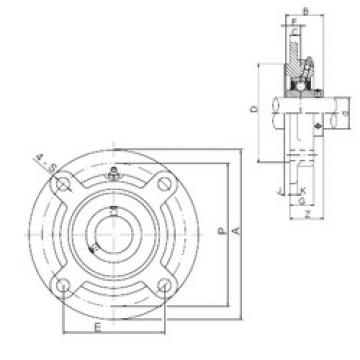 Bearing housed units UCFC205 CX