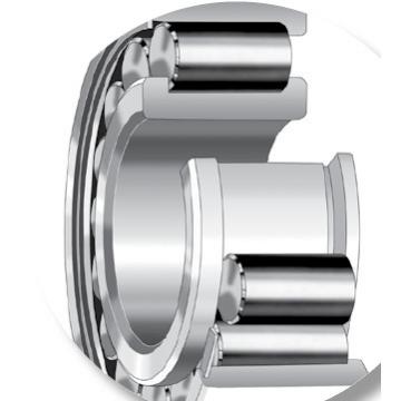 CYLINDRICAL BEARINGS ONE-ROW METRIC ISO SERIES NJ2219EMA