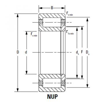 CYLINDRICAL BEARINGS ONE-ROW METRIC ISO SERIES NU324EMA