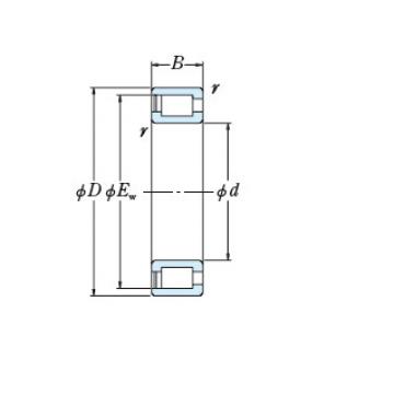 FULL-COMPLEMENT CYLINDRICAL ROLLER BEARINGS JAPAN NCF18/560V