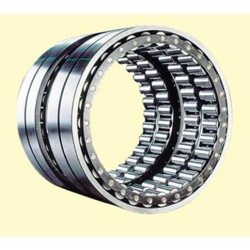 Full complement cylindrical roller bearings NCF2876V