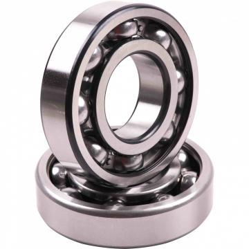 Cylindrical Roller Bearing NU2305E