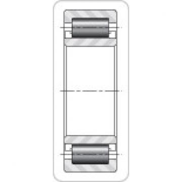 Timken THRUST BEARINGS NU219EMA    