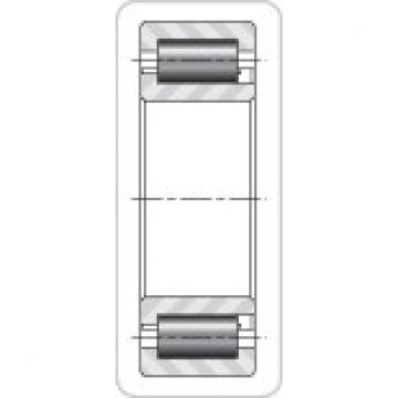 Timken THRUST BEARINGS NJ2224EMA    