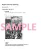 VOLVO P8720B TRACKED PAVER SERVICE AND REPAIR MANUAL #3 small image