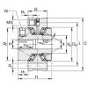 Complex Bearings ZAXFM2575 INA