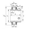FAG cam roller ina Radial insert ball bearings - UC213-41