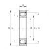 cylindrical bearing nomenclature SL181892-E-TB INA