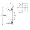 Cylindrical Roller Bearings N 244 NSK #1 small image