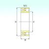 Cylindrical Bearing NN 3021 TN9/SP ISB