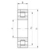 Cylindrical Roller Bearings Distributior NP29/500 CX #1 small image