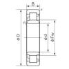 Cylindrical Roller Bearings Distributior NU 213 NACHI #1 small image