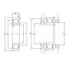 Cylindrical Roller Bearings Distributior NU1016ECM/HC5C3 SKF