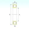 Cylindrical Roller Bearings Distributior NUP 326 ISB