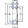 Angular Contact Ball Bearings 71926 ACD/P4A SKF