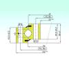 thrust ball bearing applications NB1.20.0644.200-1PPN ISB