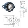 Bearing housed units BLF201 FYH #1 small image