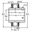 Bearing housed units ER211 AST